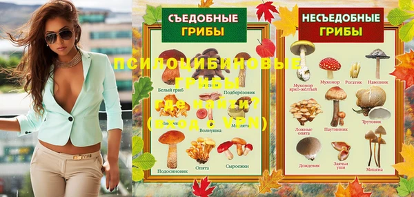 эйфоретик Аркадак