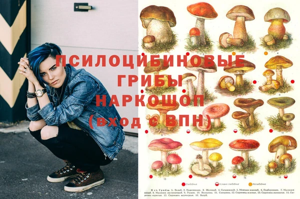эйфоретик Аркадак