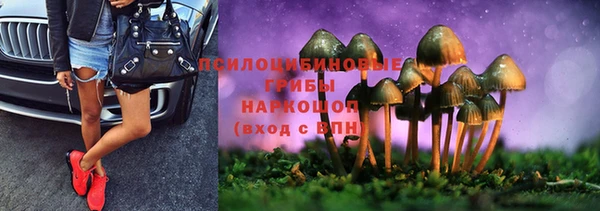 эйфоретик Аркадак